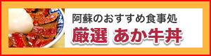 阿蘇 赤牛丼 人気 行列 オススメの店
